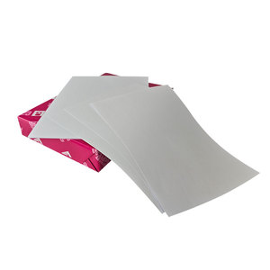 Papier A4 multifonctionnel <span class=keywords><strong>double</strong></span> A4, 80 g/m², blanc, papier de <span class=keywords><strong>copie</strong></span> A4, papier A4 70g 80g, <span class=keywords><strong>prix</strong></span> d'usine - Product Image 5