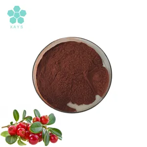 Youshuo bubuk ekstrak buah Cranberry alami bahan mentah impor