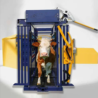 Chute de contention robuste pour bovins avec système de capture automatique de la tête pour élevages et ranchs