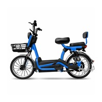 Vélo Électrique Tout-Terrain Sportif 20 Pouces à Cadre Bas 48V 20Ah Lithium Sans Balais Double Siège Panier Avant Commuting Adulte SeekFar