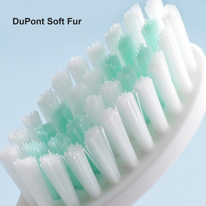 หัวแปรงสีฟันไฟฟ้าโซนิคแบบขายส่ง พร้อมโลโก้สั่งทำเพื่อสุขอนามัยช่องปากที่ดีที่สุด - Product Image 6