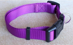 Lebendiges und langlebiges rotes Hunde halsband mit stabiler Kunststoffs chnalle und Metall-D-Ring für sichere und stilvolle Haustier kleidung - Product Image 5