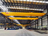 Pont roulant européen à double portique, conception légère, taux d'utilisation élevé en usine