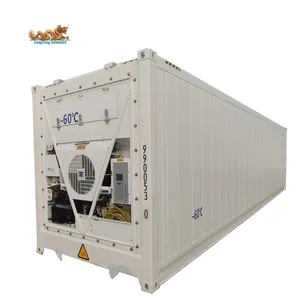 - 60 - 70 Degree Deep Thermo King 40ft 40 foot 40 feet Super Freezer Reefer Container for Sale