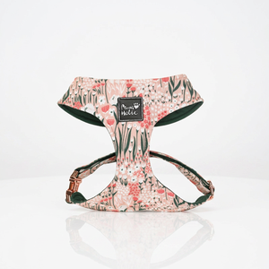 Elegant Cotton Comfortable Fashion <b>Dog</b> Harness Cat Harness Cute Fashion Adjustable Cute Buckle Closure for Pets Wholesale OEM - Product Image 1