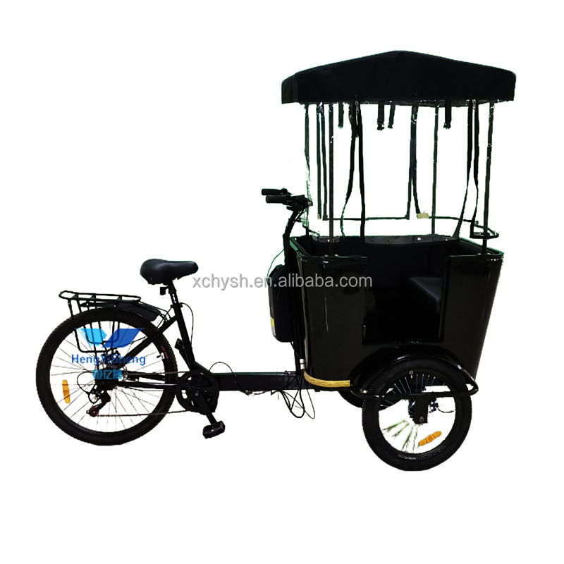 Best Selling Cargo Bike with Rain Cover Durable Electric Tricycle