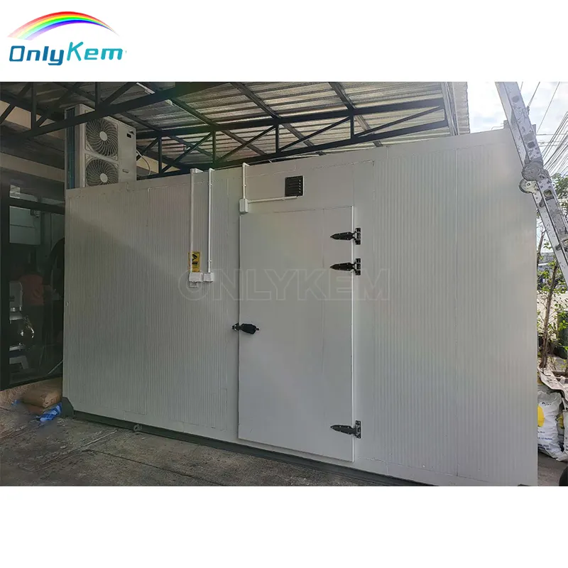 Industrial Cold Room Container/ Commercial Cold Storage/ Walk In Freezer Room