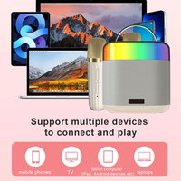 Lecteur de musique karaoké sans fil professionnel, microphone portable, haut-parleur, 2 micros sans fil, 5.3 pour éclairage LED RVB, batterie
