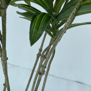 Hermosa Dracaena Reflexa Planta artificial y flor Canción falsa de bambú Decoración interior y decoración navideñ<span class=keywords><strong>a</strong></span> - Product Image 6