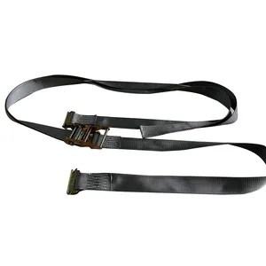 Ropenet Factory Supply Wholesale Heavy Duty Polyester Tie Down Lashing Ratchet Strap Tension Belt For Cargo Control E Track