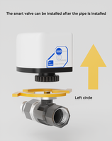 Interrupteur intelligent sans fil WiFi/Zigbee EWelink contrôlé par application, DN15/DN20/DN25, étanche IP65, pour maison, garage, bar, hôtel, extérieur, voiture, USB