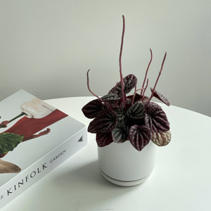 Vaso in Ceramica Nordico Decorativo, Colorato e Unico, Regalo Ideale <span class=keywords><strong>per</strong></span> l'Arredamento Domestico - Product Image 3