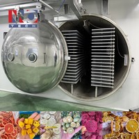 Lyophilisateur industriel de lyophilisateur d'équipement de traitement des aliments lyophilisé de qualité commerciale pour lyophilisateur de fruits et légumes