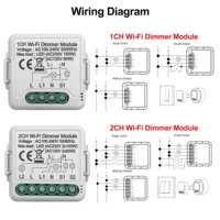Module d'interrupteur variateur intelligent Tuya ZigBee 1/2 voies en ABS, contrôle à distance WiFi via Alexa Google Home, tension max. 240 V