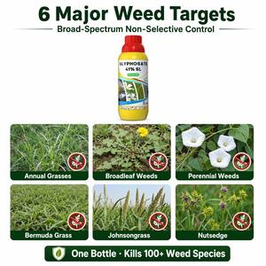 Herbicide Systémique Post-Emergence de Haute Qualité au Glyphosate 41% SL 480 G/L - Product Image 2