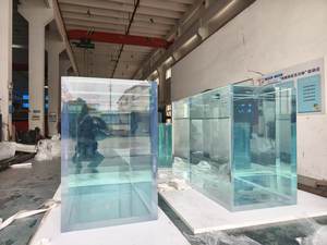 2024 fabricante de acrílico para acuario acrílico Túnel de pecera acrílica - Product Image 4