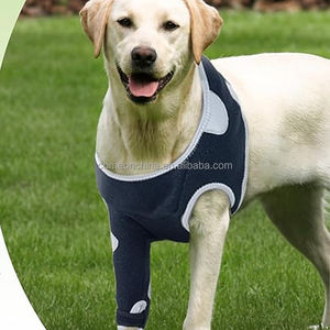 Funda de recuperación moderna para perros, Collar de cono impermeable, Protector de codo alternativo para pierna delantera, traje de cirugía para lamer para perros - Product Image 2