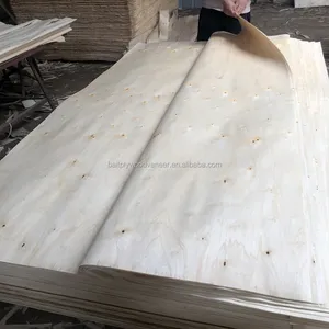 Fabbricazione di fogli di impiallacciatura di legno naturale di pioppo burl 0.3mm per il mercato turco dalla fabbrica di Linyi