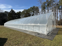 Serre tunnel à simple travée avec film en polyéthylène et ventilation latérale, adaptée à la culture de tomates et de fruits