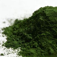 Poudre de spiruline facile à mélanger pour une nutrition quotidienne
