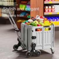 Chariot de camping pliable portable pour supermarché, chariot de courses, petit chariot avec roues pour monter les escaliers, poignée en plastique