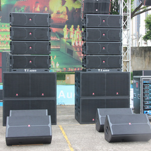 Sistema de Sonido con Altavoz Dual de 10 Pulgadas para Interiores y Exteriores, 2500W de Potencia, Carcasa de Madera y Conexión en Línea - Product Image 3