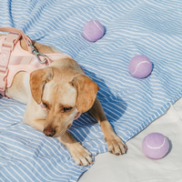 Vente en gros de balles pour chiens personnalisées avec logo, en caoutchouc, pour l'exercice, l'entraînement, l'interaction, balles de tennis pour chiens de petite taille avec logo