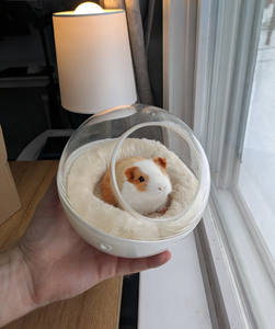 Nido Transparente Resistente a Mordeduras para Pájaros, Casa para Pájaros Colgante y Lavable, Cabaña Cálida de Felpa para Periquitos, Canarios y Loros - Product Image 2