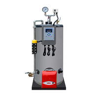 Chaudière à vapeur verticale basse pression industrielle de 100 kg avec brûleurs automatiques pour hôtels et usage de chauffage