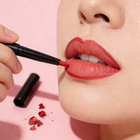 Crayon À Lèvres Avec Taille-Crayon Marque Privée Eyeliner Vegan Imperméable Sans Cruauté Crayon À Lèvres En Velours Mat