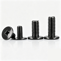 Vis à tête plate fine Phillips en acier inoxydable 304, plaqué zinc noir, vente en gros