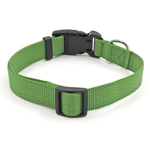 Collar Ajustable para Perro de Nailon Verde con Cierre de Hebilla, Estilo Simple, para Todas las Estaciones - Product Image 1
