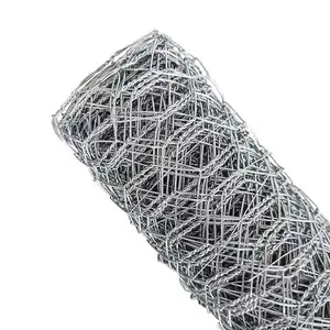 0.7Mm 1/2 Inch Galvanized Plastic Coated Chicken Cage Wire Mesh Hexagonal Wire Netting