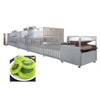 Automatische Plc Fruit Banaan Industriële Uitdroging Steriliseren En Drogen Tunnel Transportband Droger Leveranciers Van Microgolfmachines