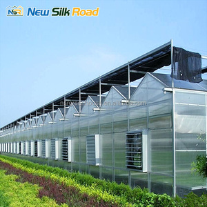 Système hydroponique commercial pour légumes-feuilles, grande serre multi-voûtes <span class=keywords><strong>en</strong></span> polycarbonate, jardin de style chinois - Product Image 5