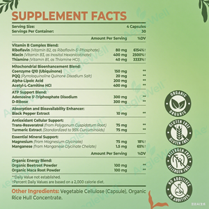 Cápsulas de ATP mitocondriales <span class=keywords><strong>para</strong></span> combatir la fatiga, <span class=keywords><strong>el</strong></span> complejo de vitamina B orgánico más vendido de OEM - Product Image 2