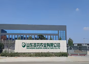 Fruit Setting Aid B120g/L Mo5g/L with <strong>Seaweed</strong> Nutrients 100% Soluble <strong>Fertiliser</strong> - Product Image 6