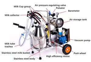 Machine à traire automatique mobile d'<span class=keywords><strong>occasion</strong></span> pour vaches, moutons et chameaux avec pompe à vide et moteur pour les industries laitières et l'agriculture et le retournement des œufs - Product Image 4