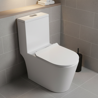 WC monobloc moderne en céramique, design anti-gel, blanc, 4,5 L, chasse d'eau silencieuse à effet tornade