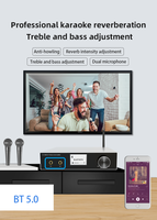 Amplificateur audio stéréo professionnel CL-600B pour karaoké, avec réglage des basses et des aigus, compatible ARC et Airplay, pour Hi-Fi et KTV à domicile