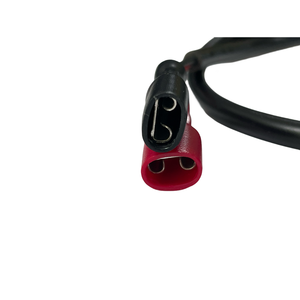 110 250 187 терминал 2,8 мужской женский кабель 2*2P жгут проводов мотоцикла - Product Image 6