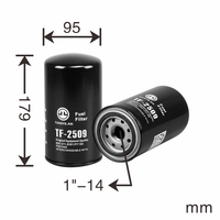 Filtre à carburant BT pour 102387001 1644499425 1644499429 1046Z545 dans les machines de construction