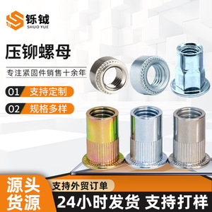 Écrou à sertir Shuoyue M6 métrique, couleur zinc, anti-desserrage, pour l'industrie de la construction - Product Image 2