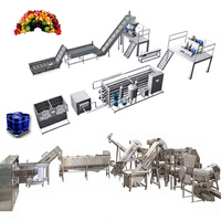 Hotselling, hoogwaardige, energiezuinige machine met stabiele prestaties voor industriële fruitverwerking