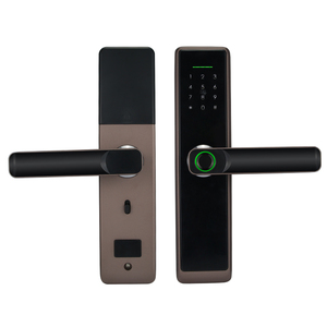 Bilixo Tuya ttlock WiFi zigbee App, serrure de porte intelligente, bouton biométrique à empreinte digitale, poignée principale, serrure d'entrée numérique sans clé - Product Image 1