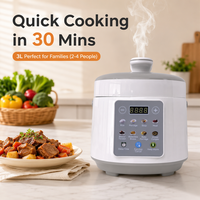 Mini autocuiseur électrique 3L 700W, multicuiseur 10-en-1, cuiseur à induction en acier inoxydable 304, cuiseur à riz compact CE