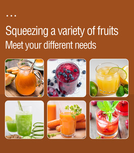2022 <b>Hot</b> Sale Vegetable Juicer Machine Mixed Filter <b>Cold</b> Press Fruit Extractor for Home Use - Product Image 3