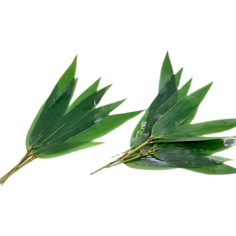 Wholesale China Factory Fresh Bamboo Leaves