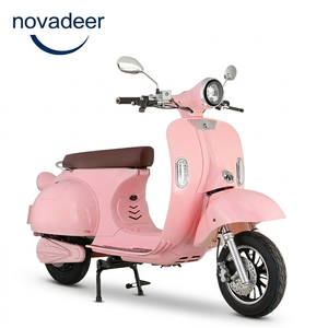 Novader Vélos Électriques à Moteur Arrière Sans Balais 1000W, Modèles Rétro de Luxe <span class=keywords><strong>Audrey</strong></span> Hepburn Personnalisables pour le Trajet Quotidien, Fabriqués en Chine - Vente Chaude - Product Image 5