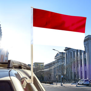 Drapeau de fenêtre de voiture 12x18 pouces, 100% polyester, double face, personnalisé, <span class=keywords><strong>pas</strong></span> <span class=keywords><strong>cher</strong></span>, vente en gros - Product Image 2